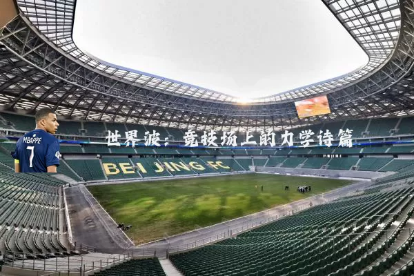 世界波:竞技场上的力学诗篇