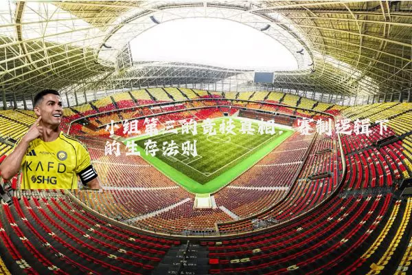 小组第三的竞技真相:赛制逻辑下的生存法则